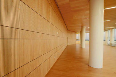 12mm 간격 천장과 벽을 위한 장식적인 나무로 되는 홈이 있는 청각 패널