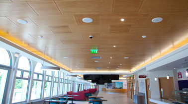 벽과 천장을 위한 내화성이 있는 나무로 되는 청각적인 관통되는 MDF 패널